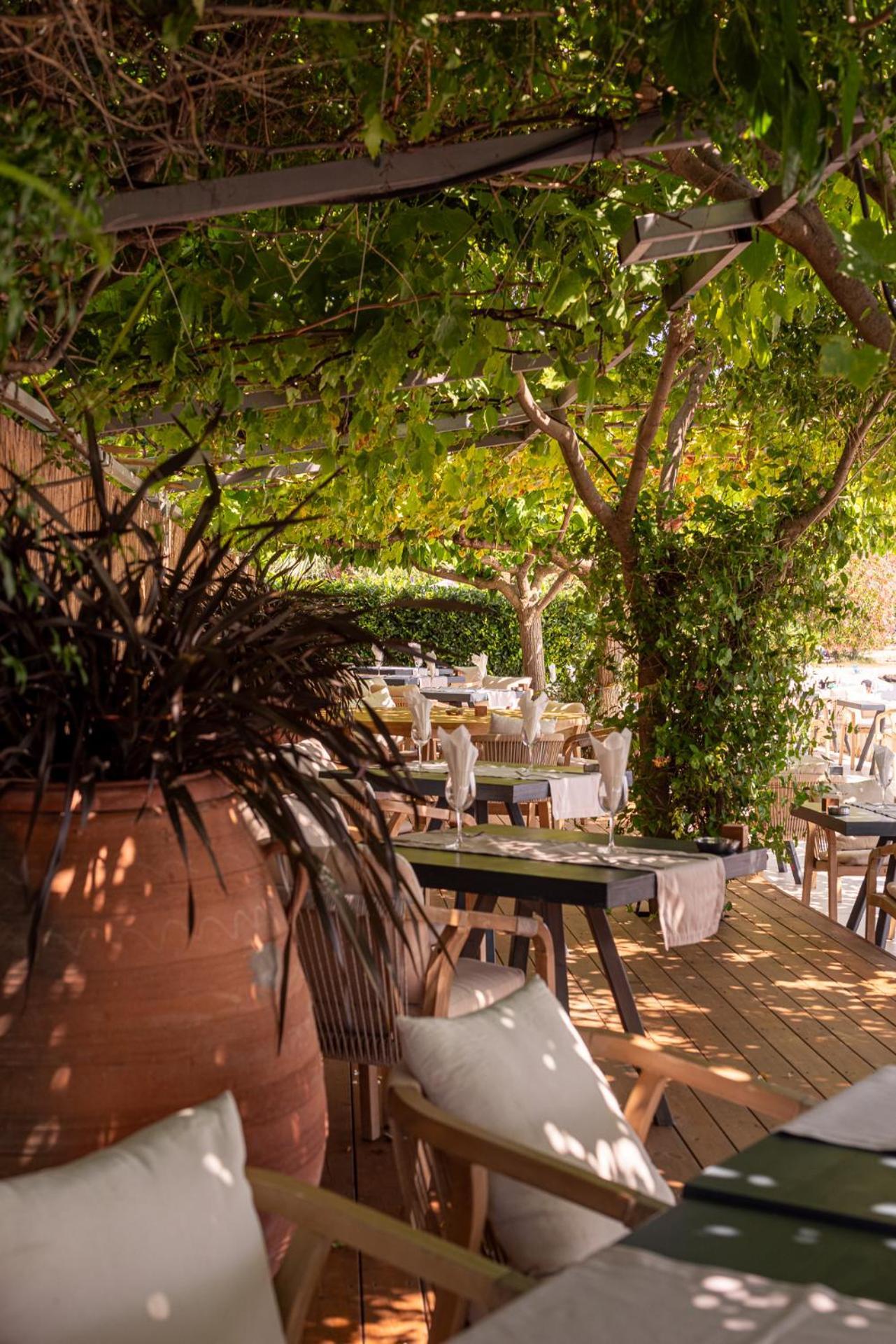 Corissia Beach Hotel Georgioupoli Dış mekan fotoğraf